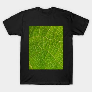 Leaf Scales T-Shirt